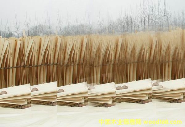 ��ľƤ�ӵ�Ԕ����B