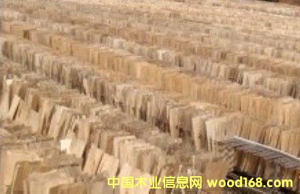 Ƥ�ӆΰ��Ԕ����B