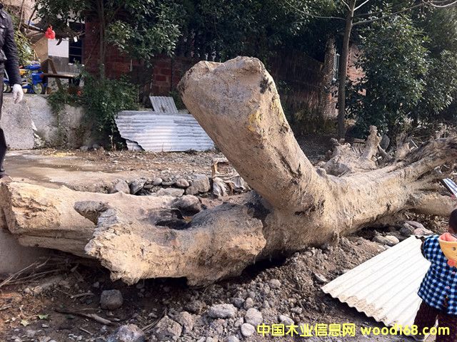 ǧ���z�ľ��Ԕ����B