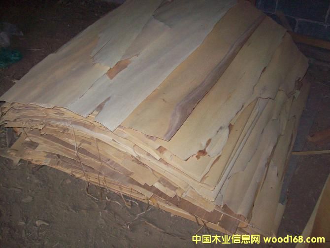 �����Į��ͳߵ�Ԕ����B