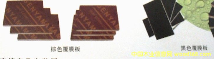 �ߙn������Ĥ���Ԕ����B