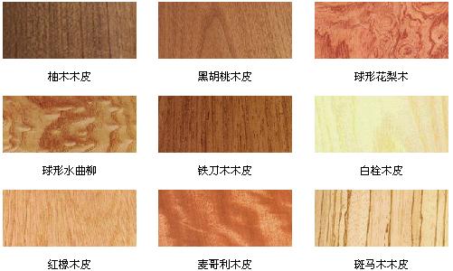 �N����Ԕ����B