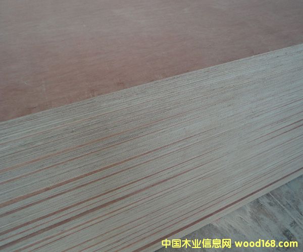 ���s���Ӱ��Ԕ����B