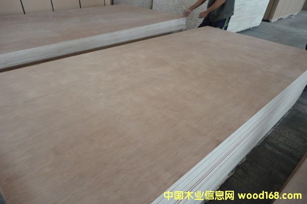 Ⱥ�����Ӱ�12mm��Ԕ����B