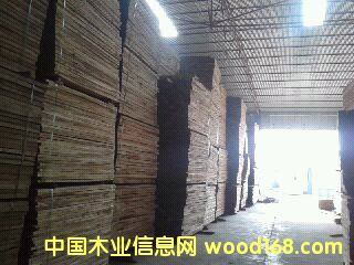 ��ľ��Ԕ��(x��)��B