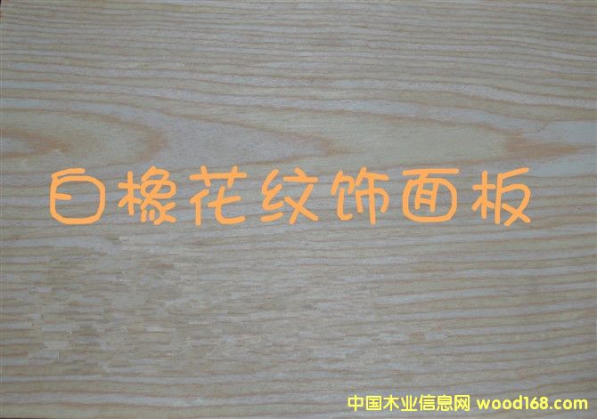 ���𻨼y����