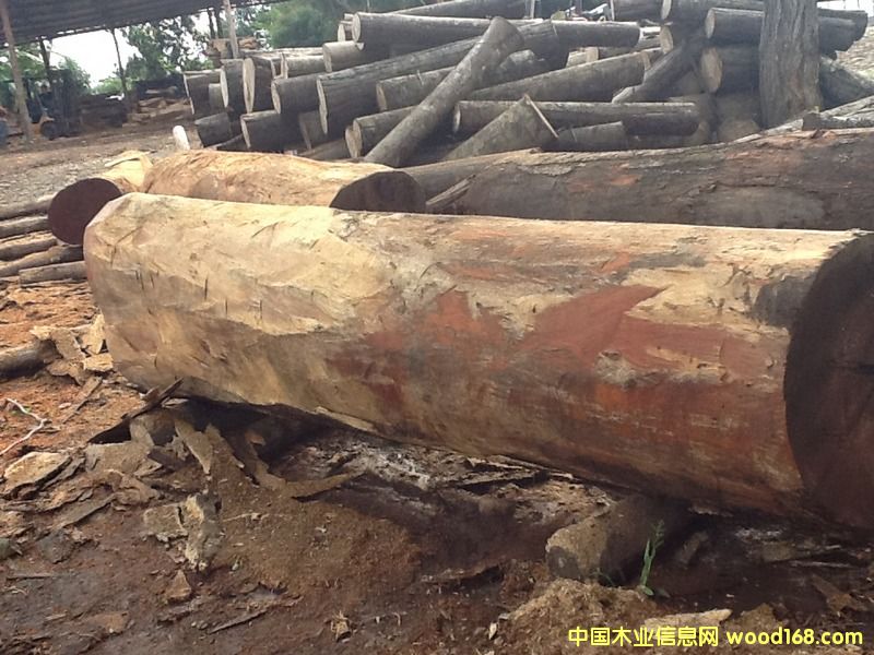 ��Ƥ���� �ذ��ütľ