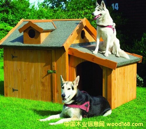 ����\��Ԕ��(x��)��B