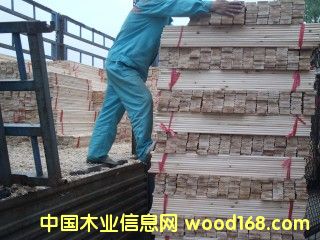 ��ɼľ��䁰����b܇��Ԕ��(x��)��B