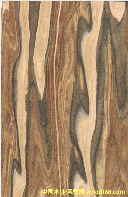 �O��ľ�Ƽ�ľƤ