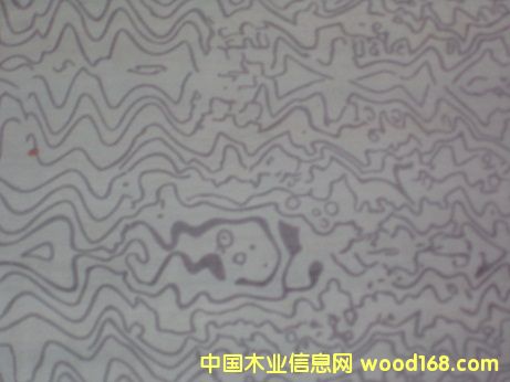 ����ӡȾ����