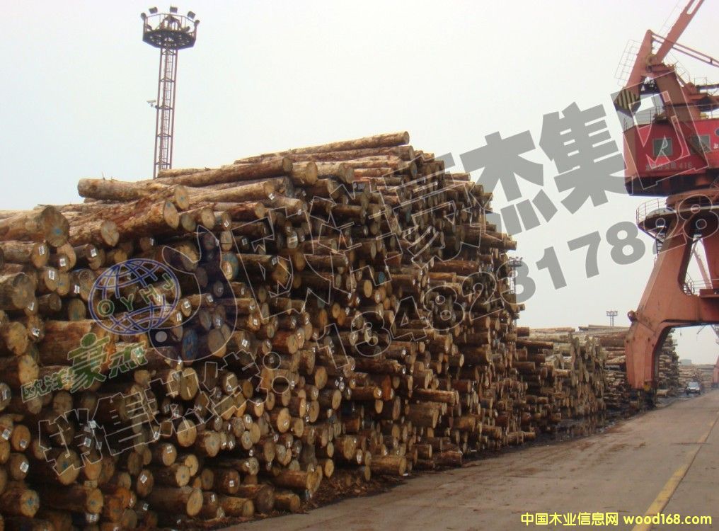 [��] ���~��ԭľ �ڏ�10-50���� �����F؛ ����ݗ���ɰ���