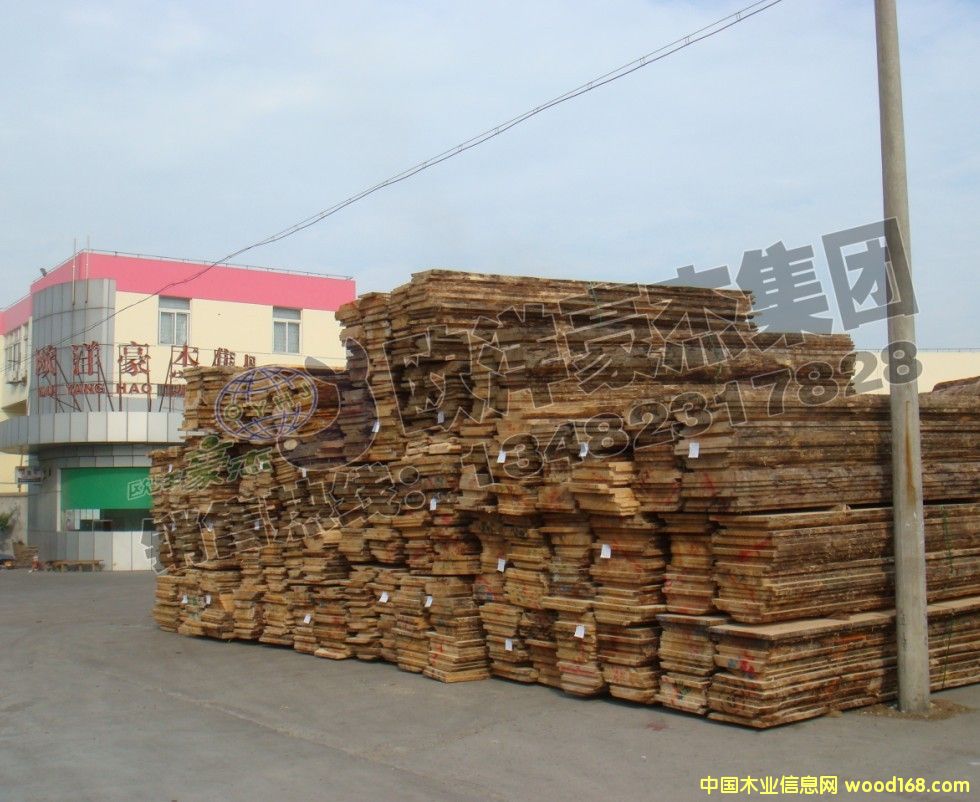 [��] �����m��ݗ���� ���60/70/80/100��ľ