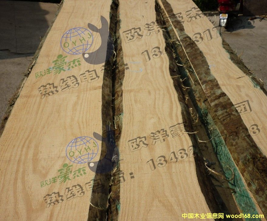 [��] �����m��ݗ���� ���60/70/80/100��ľ