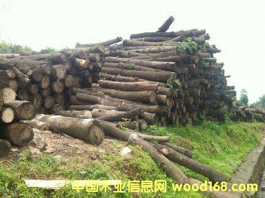 ͩľԭľ��Ԕ����B