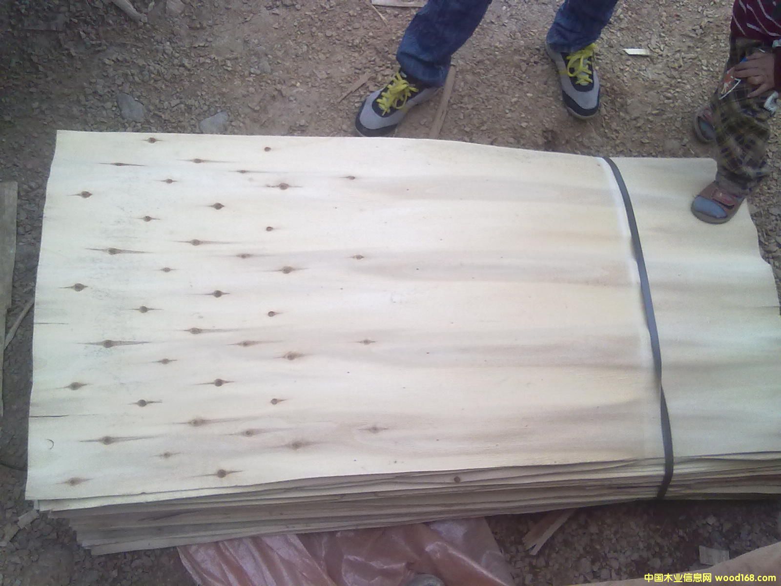 ��ľ�ΰ��Ԕ����B