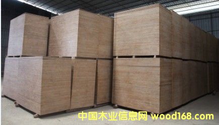 ����ģ���Ԕ����B