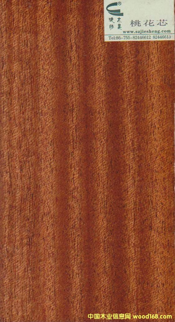 �һ�о��Ԕ����B