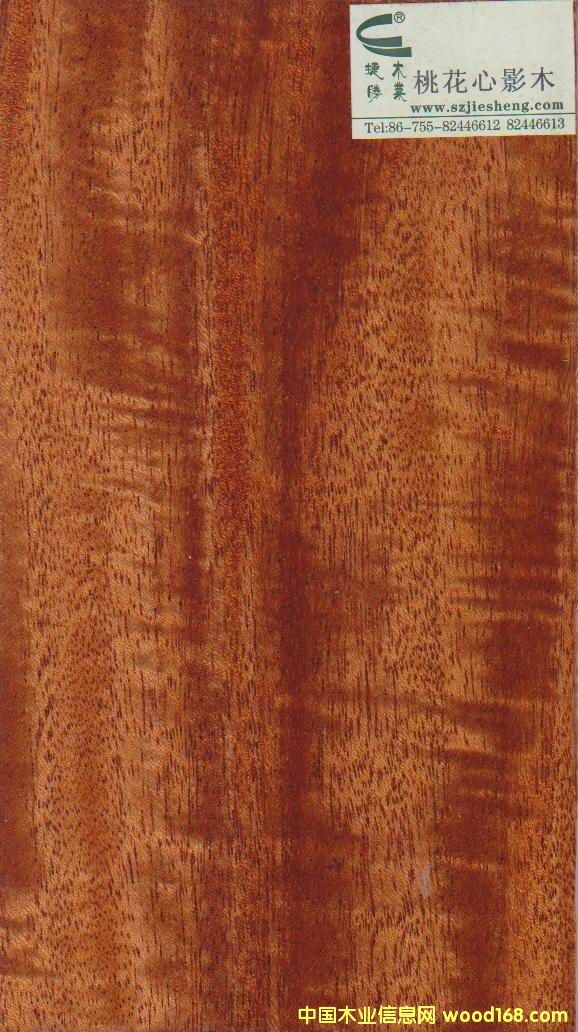 �һ�оӰľ��Ԕ����B