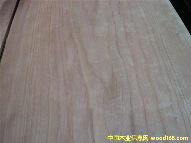 ���ҵ�Ԕ����B