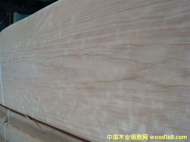 ���ҵ�Ԕ����B