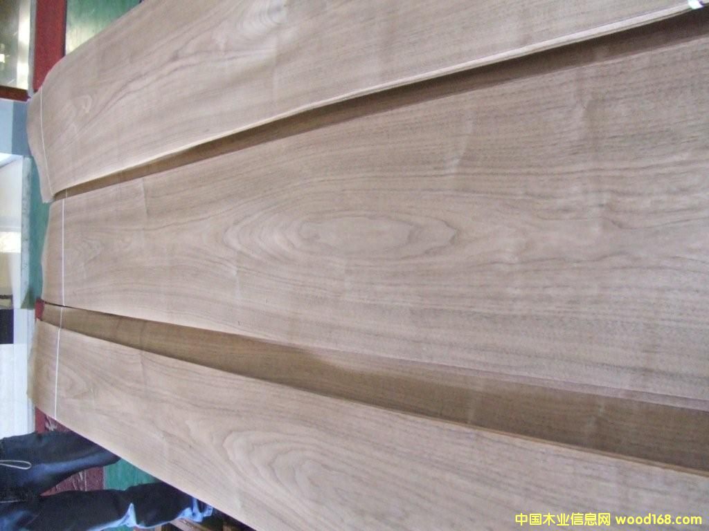 �ں��ҵ�Ԕ����B