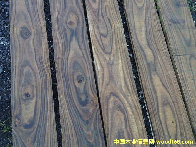 �_��С�~��˼ľ��Ԕ����B