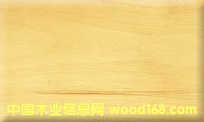 һ��(j��)����ľ��Ԕ��(x��)��B