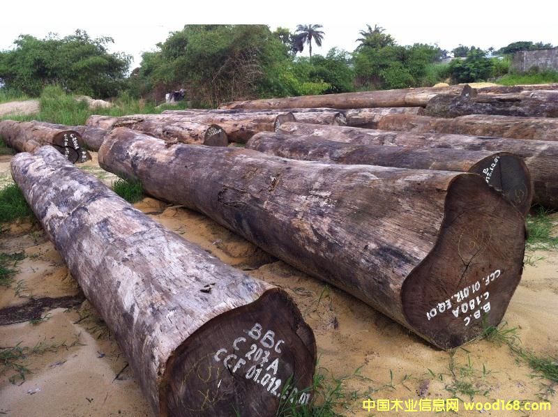 �u��ľ Wenge��Ԕ��(x��)��B