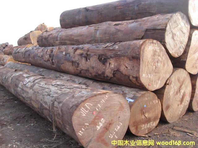 Kosipo �����鬣�������