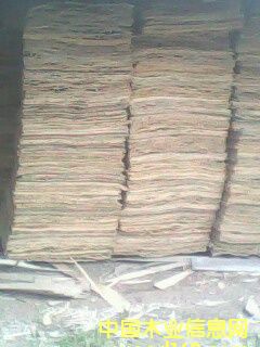 ��ľо���Ԕ����B