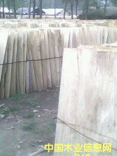 ��ľо���Ԕ����B