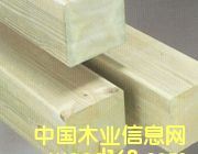 [��]   ���_ľ�I �M�ڷ��mľ ����