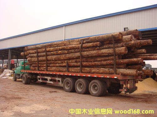 [��] ����˹ �𲻓Q �ʰͶ����r(ji��)��  