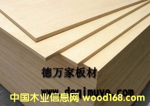 ���f��5mmF4�Ƕ��Ӱ�  