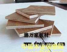 ���f��18mm����о�t�����Bľ���� �����谷�N����