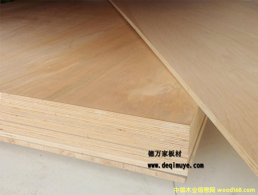 ���f��18mm�M��о���Ӱ� �z�ϰ� �A��  