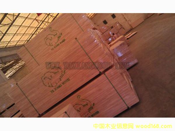 ��������(y��ng)̩��(gu��)�M(j��n)�����zľָ�Ӱ��Ԕ��(x��)��B