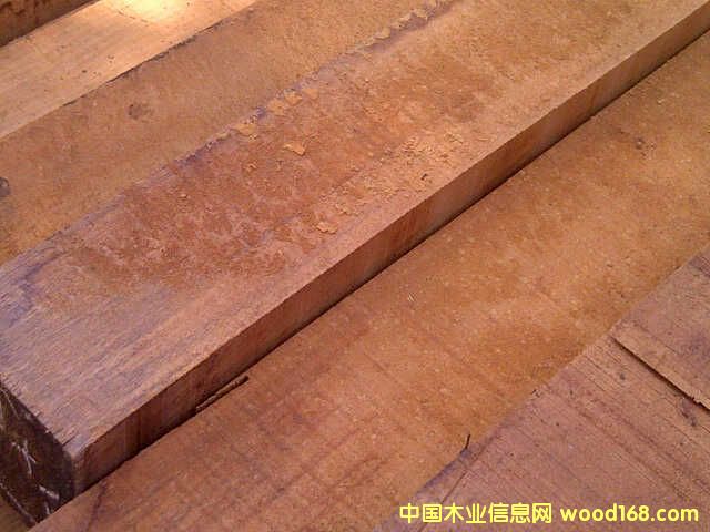 ӡ���һ�оľ��Ԕ����B