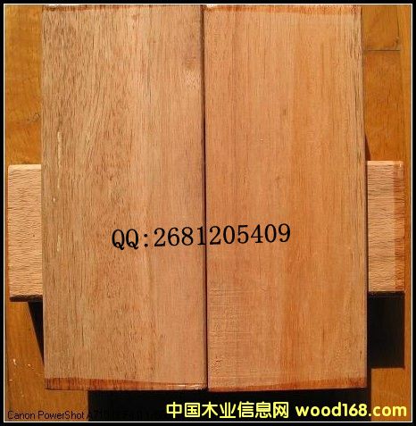 [��] �Ϻ����|����ľ������ľ�N�����ľ�|����Σ�����ľ�ÏS��