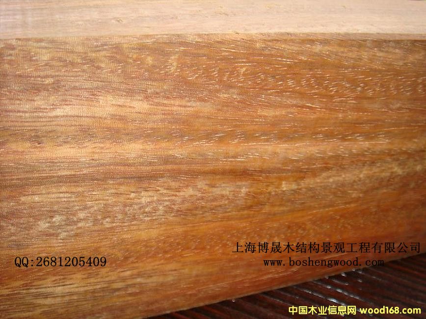 [��] ��(y��u)�|���}�� ���޲��}����ÏS�� ����ľ�r��