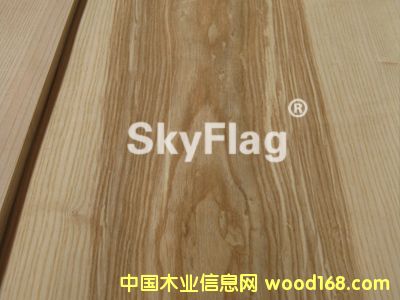 2012���ϙ��˨ľƤ