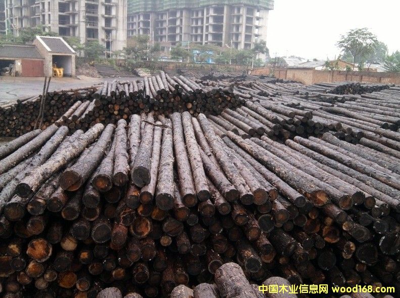 ���~��ԭľ