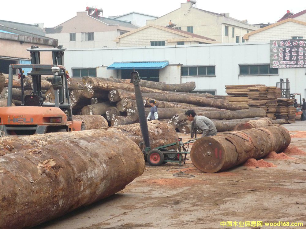 ɳ������ɰ�ĵ�Ԕ����B