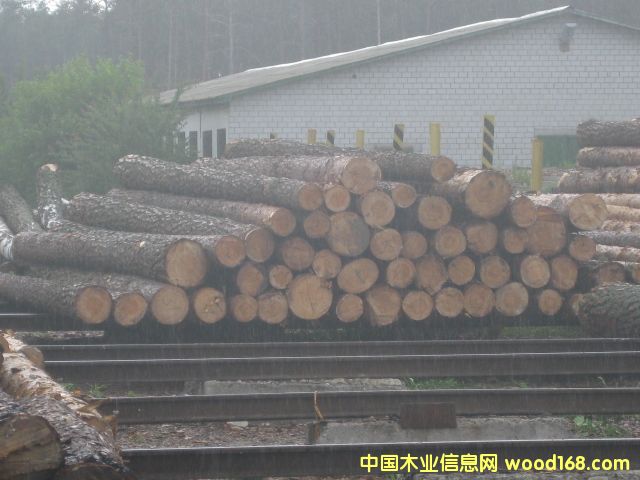 �����W����ľ����ֈ�ֱ��