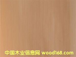 E.V.�׺���#512PQ