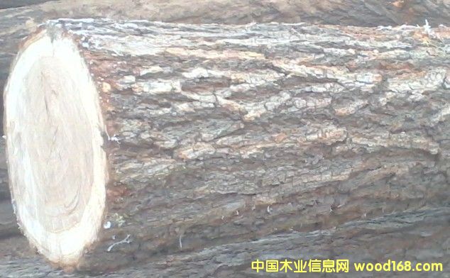 �ܘ��Ԕ����B