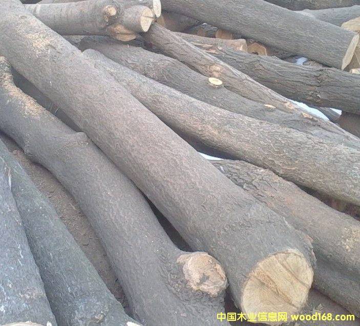 ��ľ��Ԕ����B