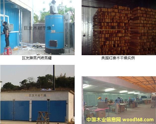 ľ�ĸ����O��