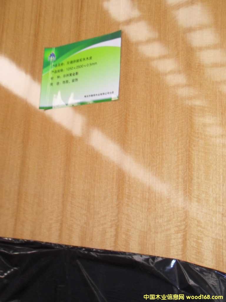 19�������h��UVľ�����Ԕ����B